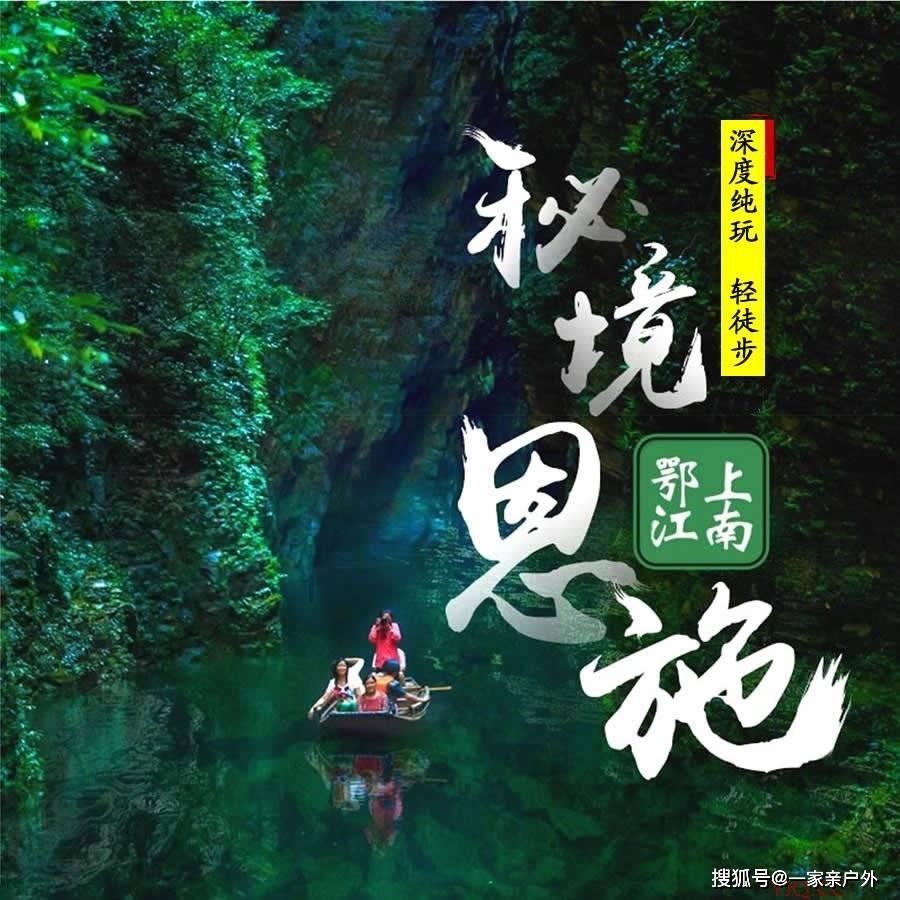 饥饿的松鼠救援