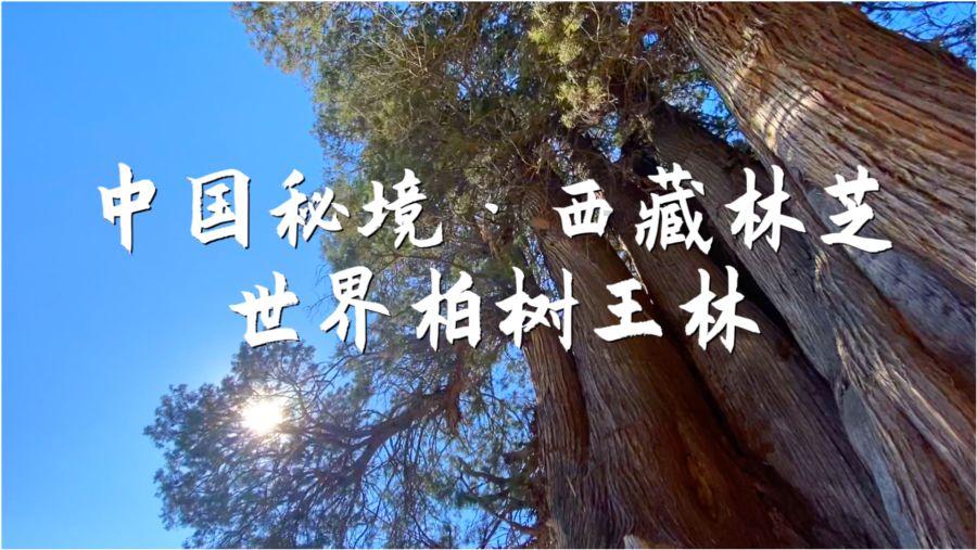 山东威高骨科卷入医药商业贿赂案,称系经销商行为!正常营业