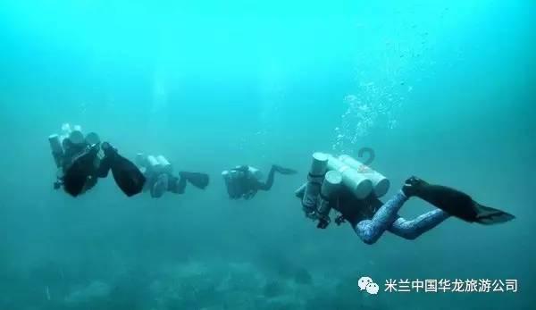 异形：隔离