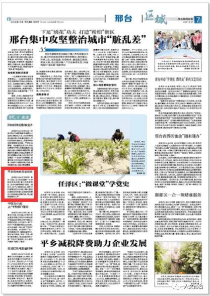 【新版】新东方新概念英语4册，剑桥口语4册霍娜，田静，李延隆全套【完结】