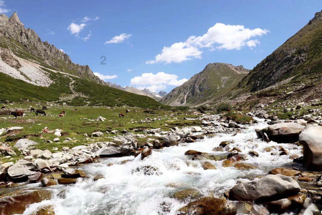 女排联赛：李盈盈遭受挫折01落后，张常宁重返主角之旅漫长无期