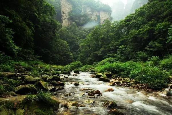 虫虫助手下载