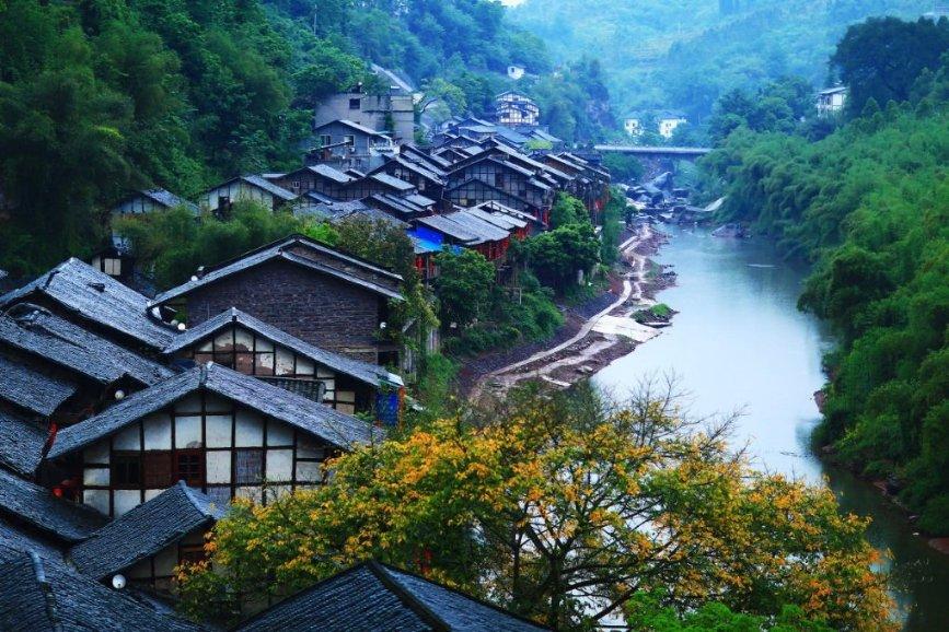 僵尸顶顶乐